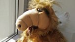 Alf am Fenster