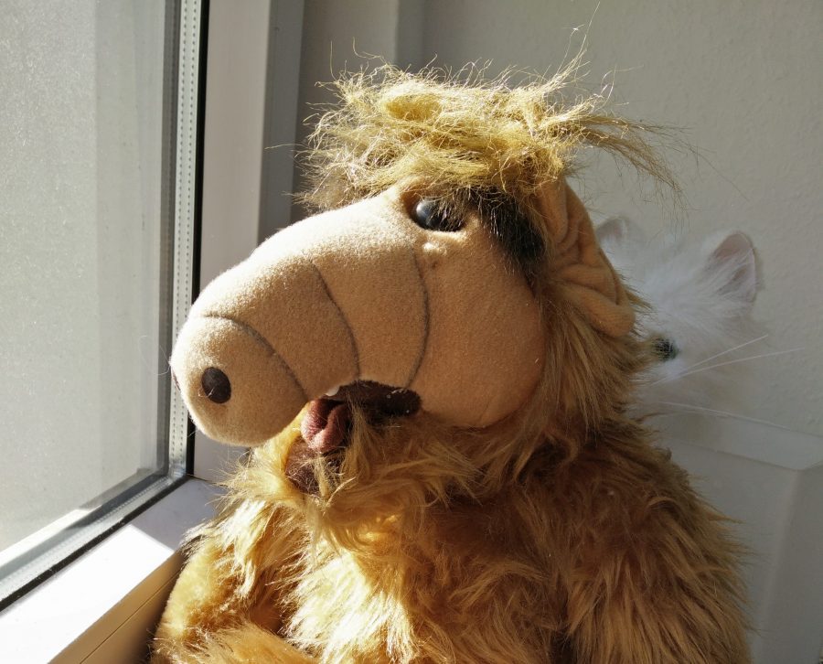 Alf am Fenster