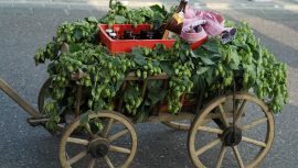 Ein festlich geschmückter Bollerwagen zum Vatertag