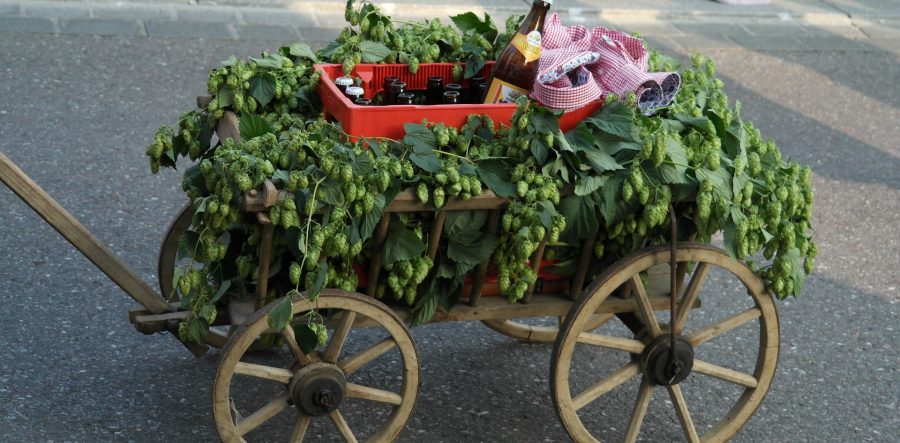 Ein festlich geschmückter Bollerwagen zum Vatertag