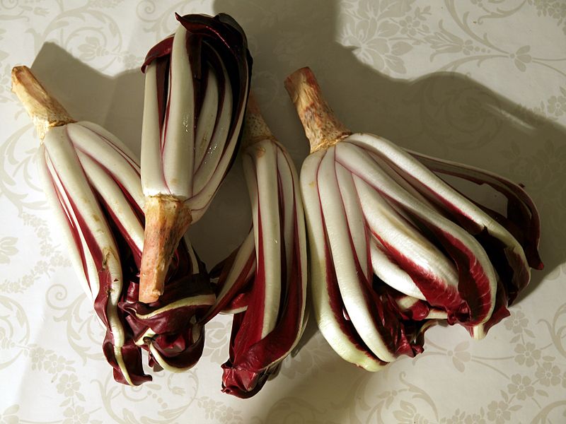 zu 5 - Radicchio di Treviso - Foto Marieke Kuijjer - Creative Commons Lizenz